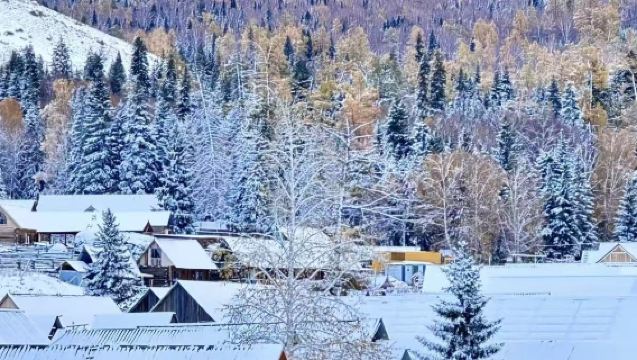 拼車直達·禾木村—喀納斯湖—神仙灣—月亮灣—卧龍灣—白哈巴景區