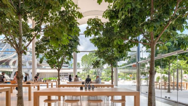 美國邁阿密網紅打卡一日遊-行程可定制【中文包車自由行】