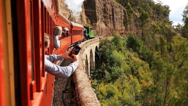 雪梨百年蒸汽火車+藍山觀景台+托馬山植物園一日遊【含小費】