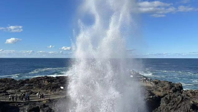 美國夏威夷包車：鑽石頭山＋噴泉洞＋桑迪海灘＋神廟谷＋哈雷伊瓦小鎮