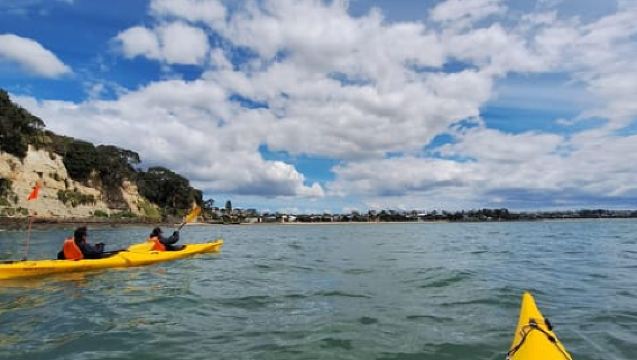 Auckland: Browns Island (Motukorea) Sea Kayak Tour
