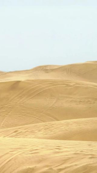 Round-trip from Hohhot: Kubuqi desert | Desert heartbeat journey