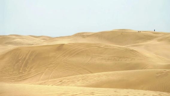 Round-trip from Hohhot: Kubuqi desert | Desert heartbeat journey