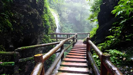 [成都夏の避暑] 青城山プライベートワンデーツアー