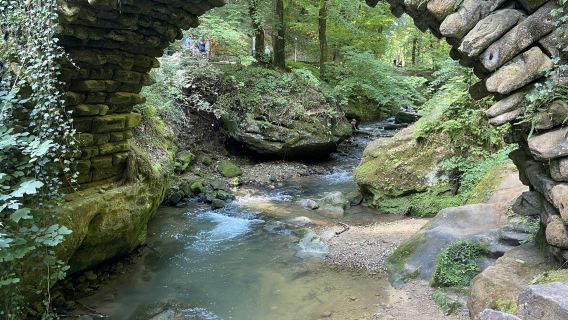 Luxembourg Mullerthal - Air Terjun Little Switzerland Luxembourg - Echternach - Sewaan Peribadi Bahasa Cina - Pilihan Terbaik