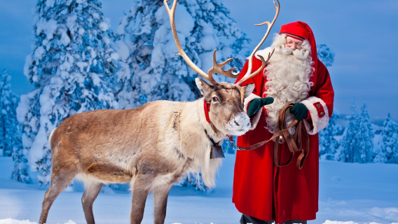 Wycieczka skuterem śnieżnym i psim zaprzęgiem husky w Rovaniemi w Finlandii
