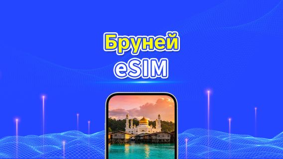 eSIM-карта 5G для Брунея | Ежедневный пакет/Пакет данных | Круглосуточная оплата | 1-30 дней | QR-код