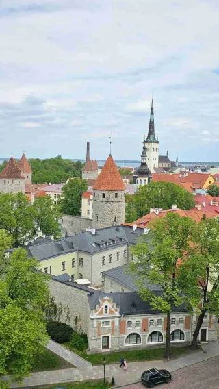 Classic trip to Tallinn in Estonia: Vanalinn + Alexander Nevsky Cathedral + Tallinn Zoo ※