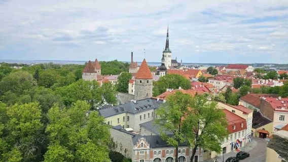 Estonia: Tour clásico en Tallín | Ciudad vieja de Tallín + Catedral de Alejandro Nevski + Zoológico de Tallín※