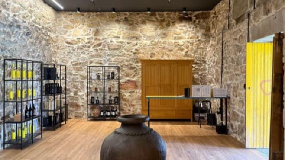 Douro Valley: Organic Vineyard & Tasting Experience