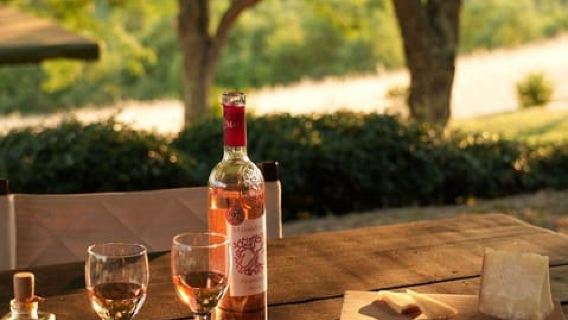Chania: Cretan Flavors – Wine, Oil, Honey & Cheese Tasting