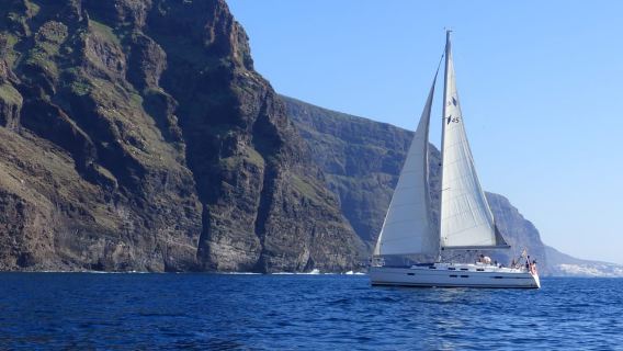 Tenerife: Los Gigantes Whale Watching Cruise by Sailboat