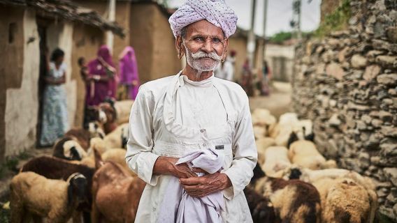 Pushkar/Ajmer: Devmali Rural Village Day Tour