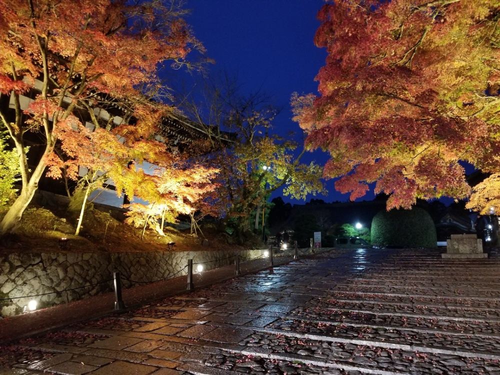 浄土宗大本山くろ谷 金戒光明寺 秋の夜間特別拝観 11月12日 12月5日期間限定 プレミアム拝観プラン Trip Com