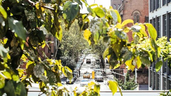 New YorkTours