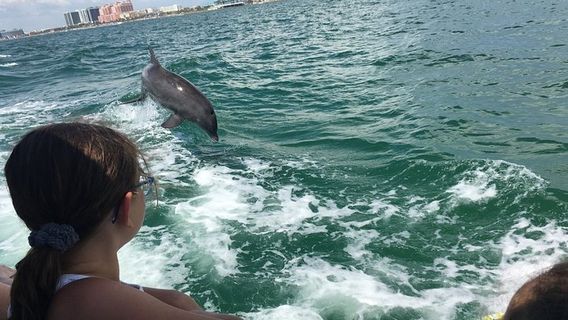 ClearwaterTours