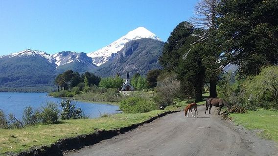 San Martin De Los AndesTours