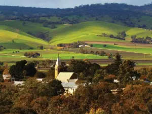 Hop-On Hop-Off Barossa Valley Wine Region Tour from Adelaide
