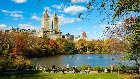 Central Park Private Pedicab Tour (60 mins)