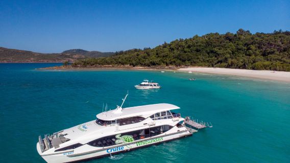 Airlie BeachTours