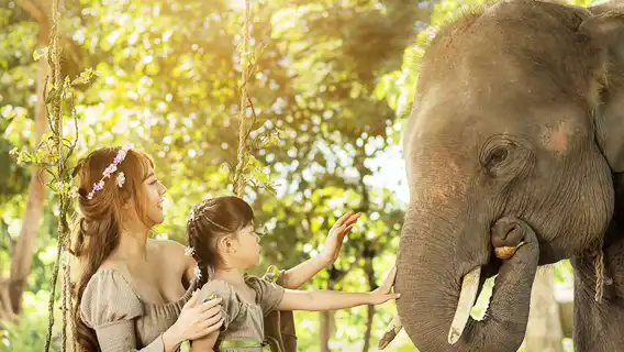 ทัวร์วันเดียว/ทัวร์หลายวัน สู่ปางช้างไนดี จังหวัดภูเก็ต ประเทศไทย