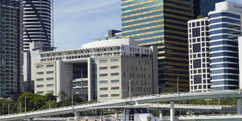 龍柏無尾熊保護區:入場門票 + 布里斯班河郵輪之旅