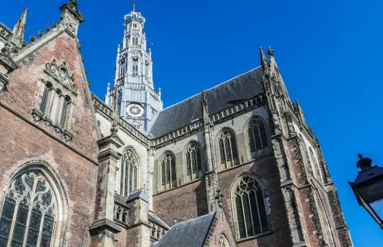 哈勒姆：市中心步行導賞團