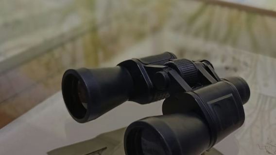 RADICI. Piccolo Museo della Natura: entrada + visita autoguiada