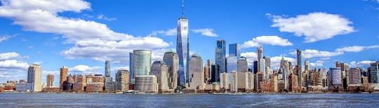 Statue of Liberty and Ellis Island private half-day guided tour