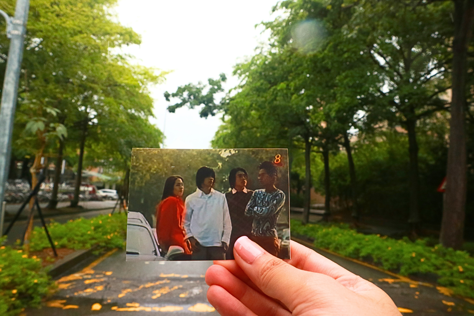 National Chung Cheng University + Zhongshe Flower Market Day Tour [Departing from Taipei | Meteor Garden Youth Tour]