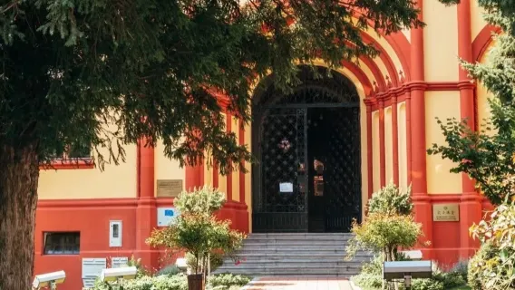 Passeggiando per Belgrado: romantica città del vino + villaggio di legno|Autista-guida cinese - ritiro porta a porta