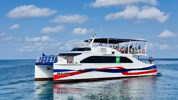 Phuket to Ko Tao Easy Travel by Coach and High-Speed Catamaran