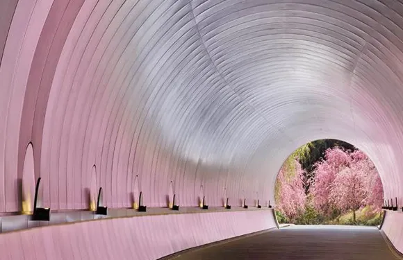 櫻花季限定-美秀美術館+園城寺賞夜櫻一日遊，藝術與自然的盛宴