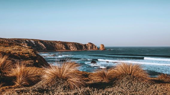Phillip Island