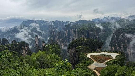Private  Day Tour Zhangjiajie Forest park & Avatar Mountains&The Sky Garden&Tianzi Moutain