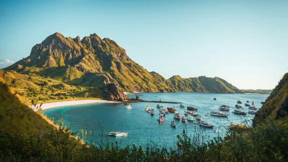 Komodo One Day Cruise: Padar Island, Pink Beach, Komodo Dragons & Snorkeling - Open Trip