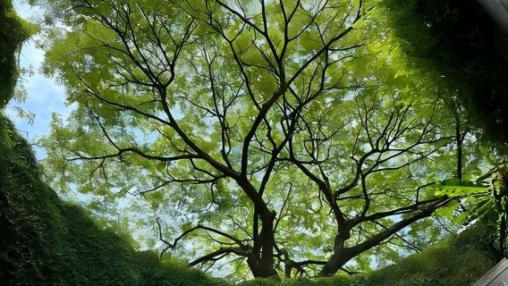 新加坡日遊