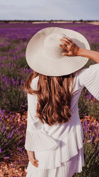 Perth The Pinnacles Desert 1-day tour Lobster Factory + Lavender Farm