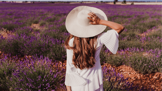 Tour 1 ngày Thung lũng đá The Pinnacles ở Perth + Nhà máy tôm hùm + Nông trại hoa oải hương