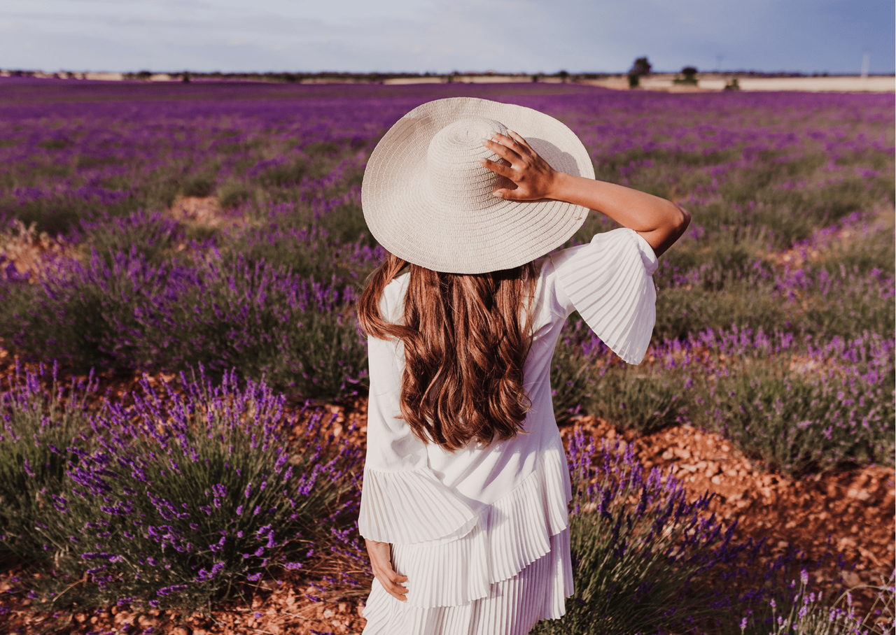 Perth The Pinnacles Desert 1-day tour Lobster Factory + Lavender Farm