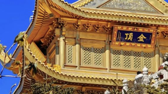 Mount Emei Scenic Area Private Tour