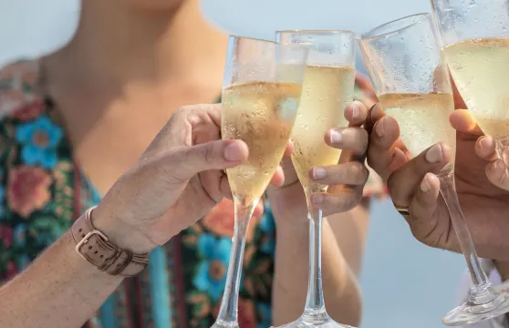 聖靈羣島1.5小時日落遊船Explore Cruise（漢密爾頓島出發）