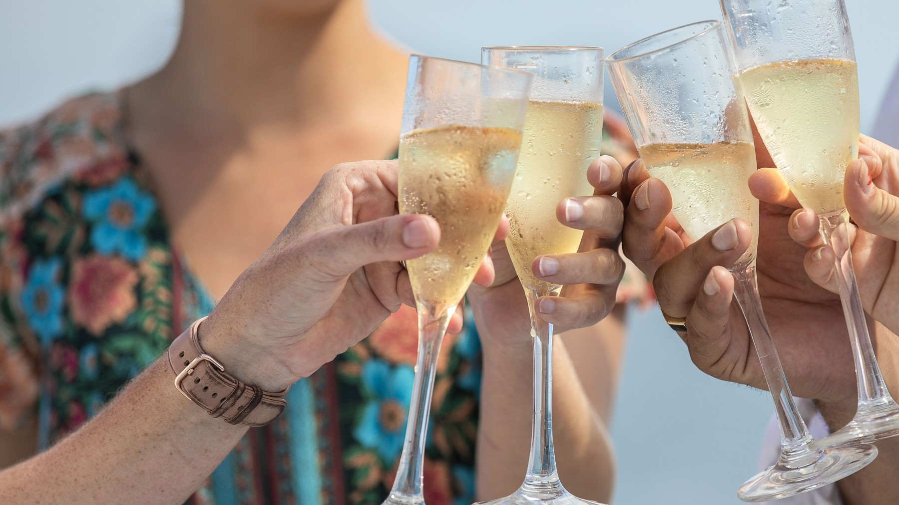 1.5-Hour Sunset Cruise in the Whitsundays (Departing from Hamilton Island)