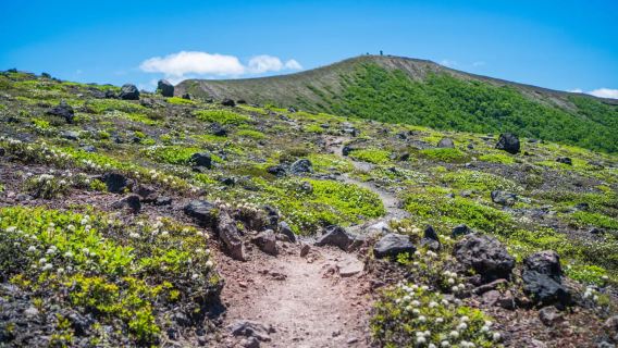 Mt. Tarumae: Active Volcano Lava Dome Hike