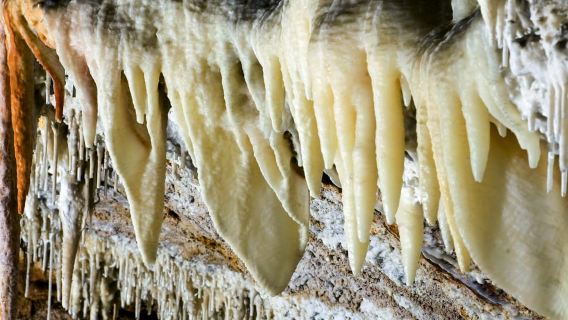 Mallorca: Campanet Caves Entry Ticket