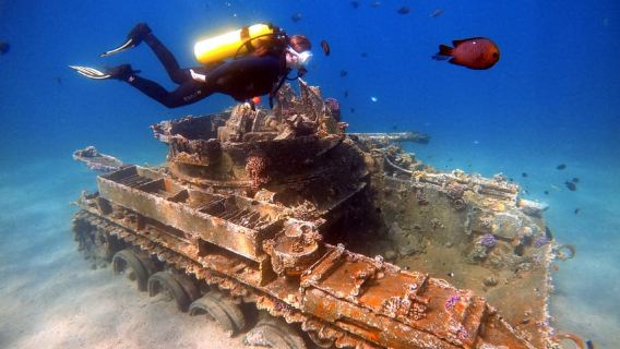 Aqaba: immersioni private nel Mar Rosso per principianti o esperti