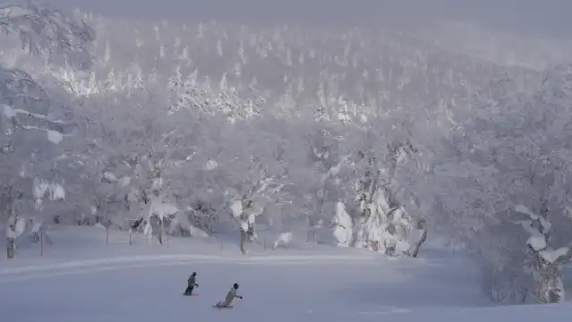 北海道 札幌國際滑雪場 1日纜車票+來回巴士票(札幌市內 出發/返回) 丨一站式滑雪,日歸超便利