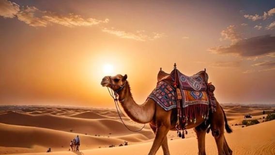 Doha: ATV, Quad hoặc Buggy Dune Bashing, CamelRide & Sandboarding