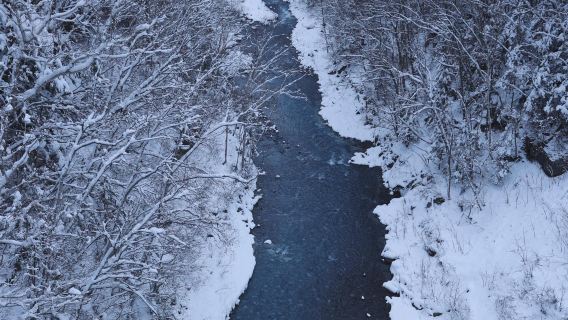 日本北海道旭川美瑛｜白鬚瀑布｜孤獨聖誕樹｜札幌來回｜中文專車