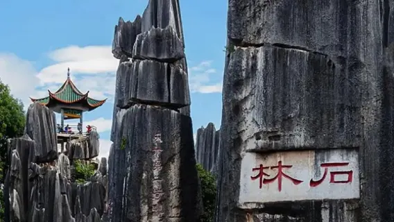 Area panoramica della Foresta di Pietra di Kunming (Shilin) + Anatra arrosto di Yiliang + tour privato della città di Kunming